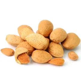 Almond Seeds (பாதாம் விதைகள் )
