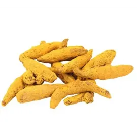 Manjal (மஞ்சள்)