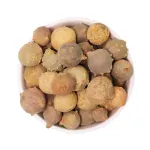 Masikai (மசிகை)