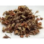 Mygilam Poo (மிக்கிளம் பூ)