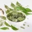 Neem Leaves (நெல்லவேம்பு)