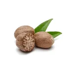 Nutmeg (ஜாதிக்காய்)