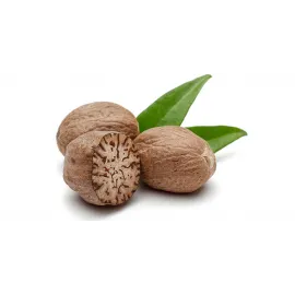 Nutmeg (ஜாதிக்காய்)
