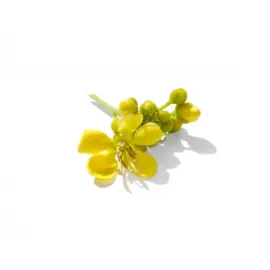 Senna Flower (அவரம் பூ)