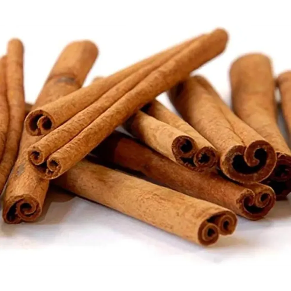 Surul Pattai (சுருள் பட்டை)