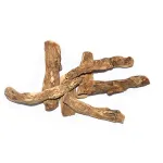 Vasambu (வாசம்பு)