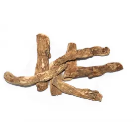 Vasambu (வாசம்பு)