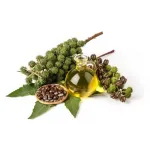 Vizhakennai (விசகennai )