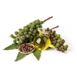 Vizhakennai (விசகennai )