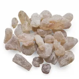 White Kungiliyam (வெள்ளை குங்கிலியம்)