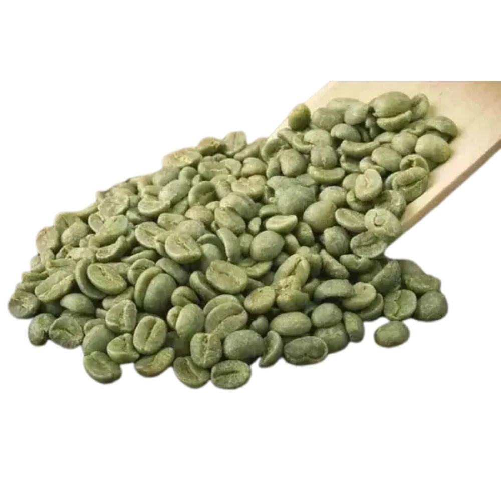 Arabica Plantation B (அரபிகா பிளாந்தேஷன் B)