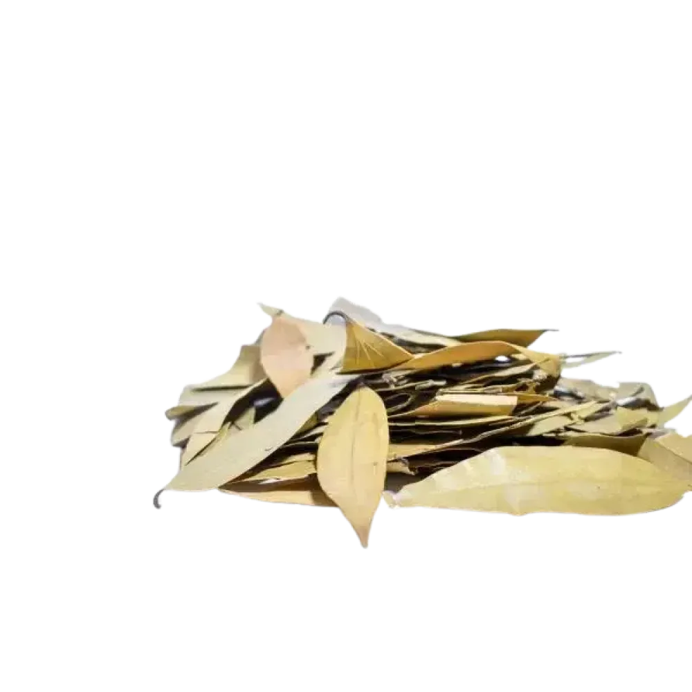 Brinji Ilai (பிரிஞ்சி இலை)