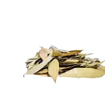 Brinji Ilai (பிரிஞ்சி இலை)