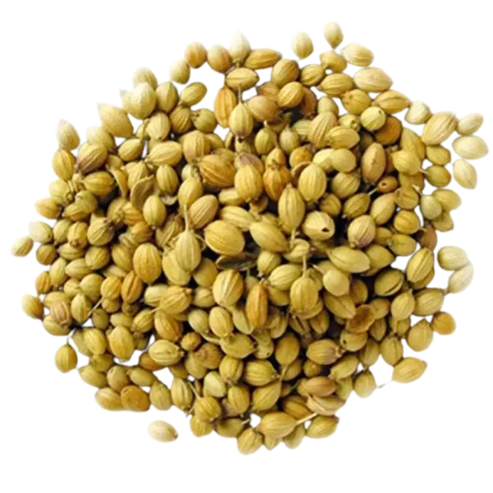 Dhanya (பாக்கியம்)