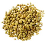 Dhanya (பாக்கியம்)