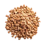 Indian Gentian (சரபரப்பு)