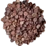 NC Pakku (என்.சி. பாக்கு)