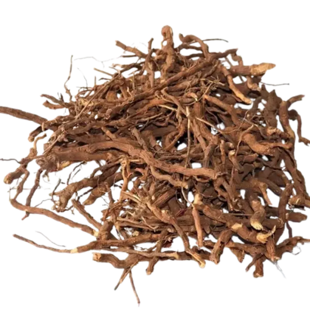 Nannari Ver (நன்னாரி வரு)