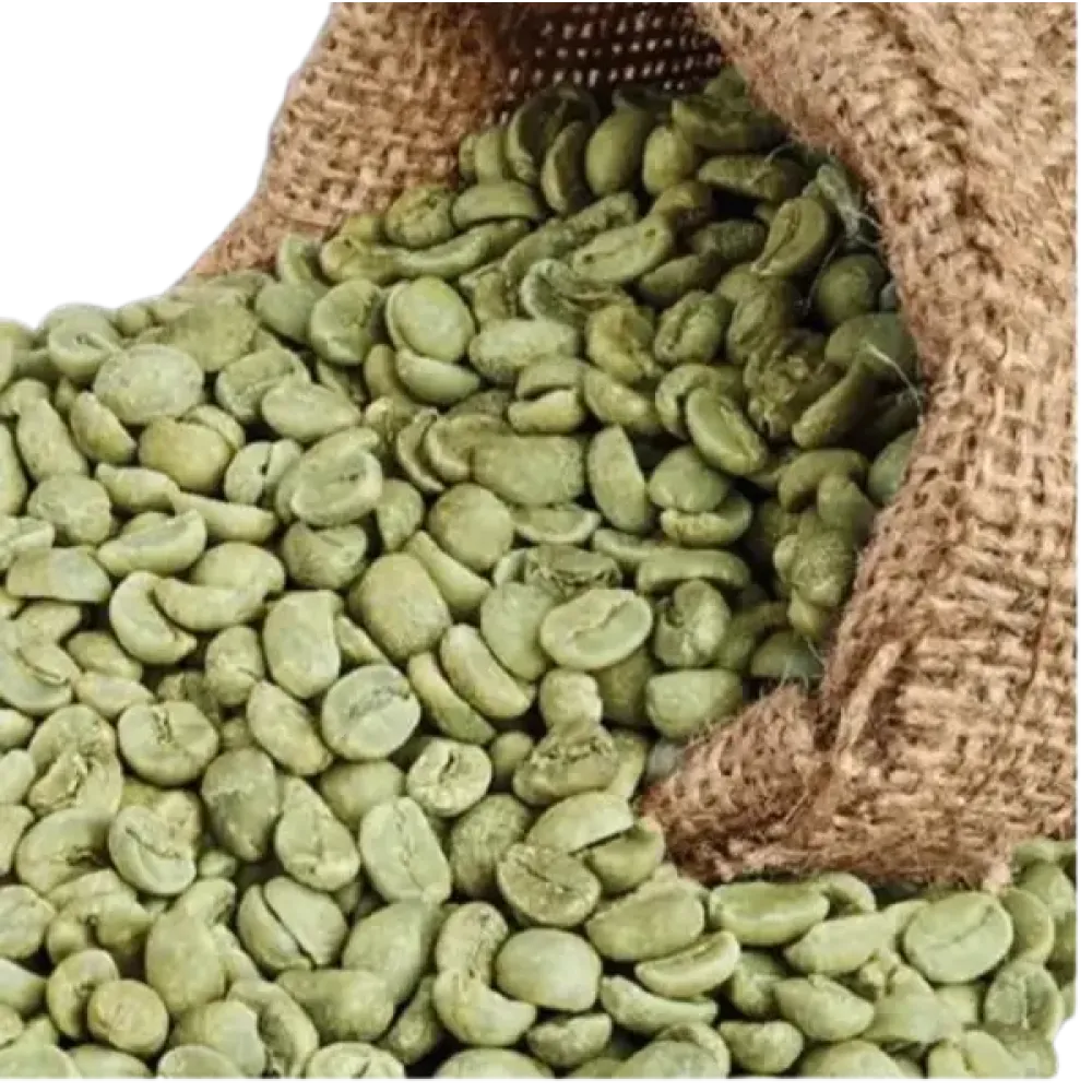 Organic Arabica (ஒர்கானிக் அரபிகா)