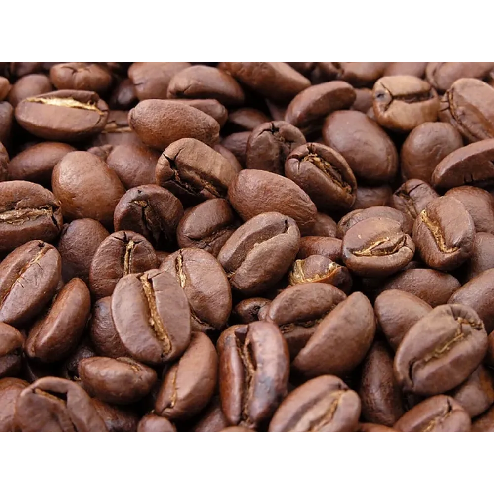 Organic Robusta (ஒர்கானிக் ரொபஸ்டா)