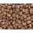 Roasted Arabica PB (அரபிகா பீ பி வறுத்த காபி கொட்டை )