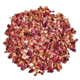 Rojamottu (ரொஜாமொட்டு)